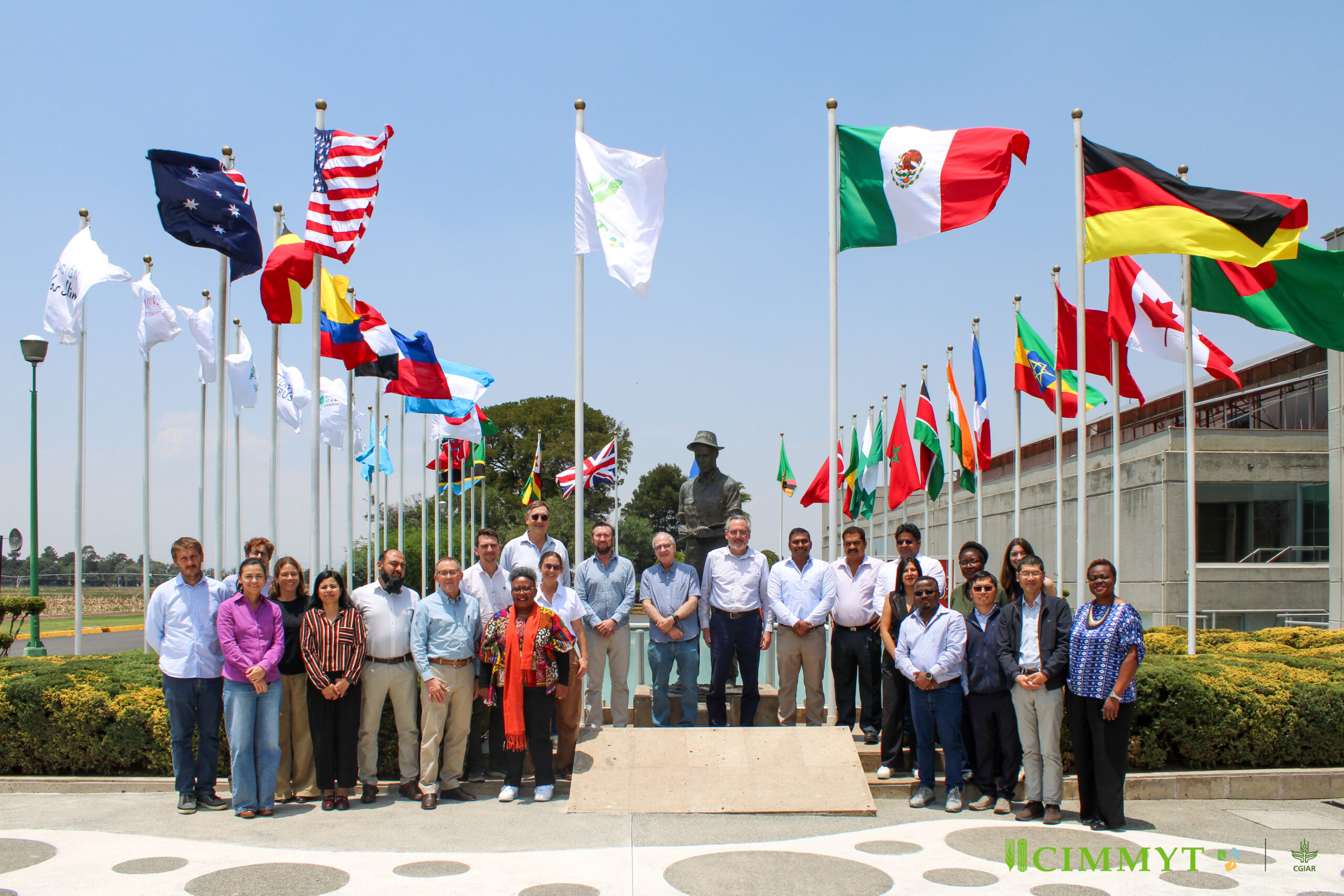 Uma aliança internacional liderada pelo CIMMYT visa acelerar a inovação genética, fortalecer a sanidade das culturas e transformar os sistemas de produção em regiões vulneráveis