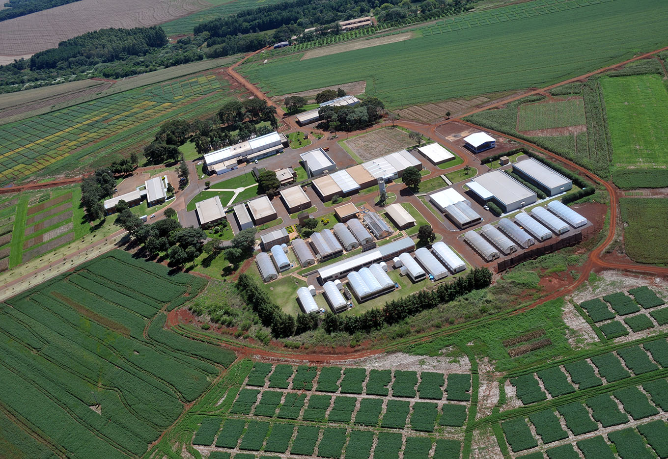 COODETEC : Perspectivas de tecnologia e mercado