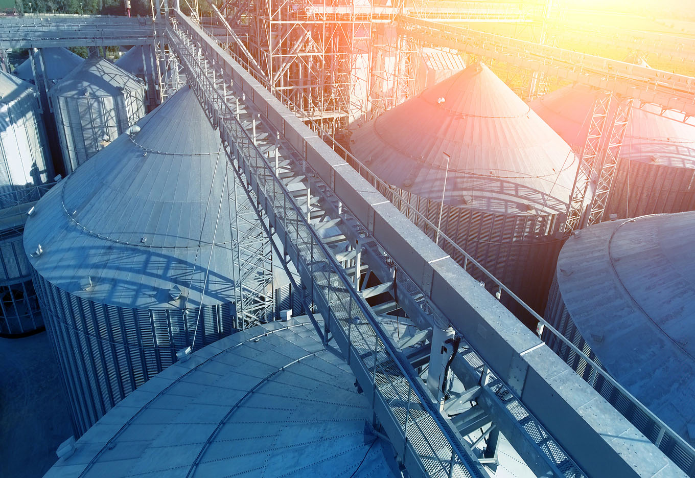 Encontro da Agriaço destaca a importância do beneficiamento inteligente de sementes