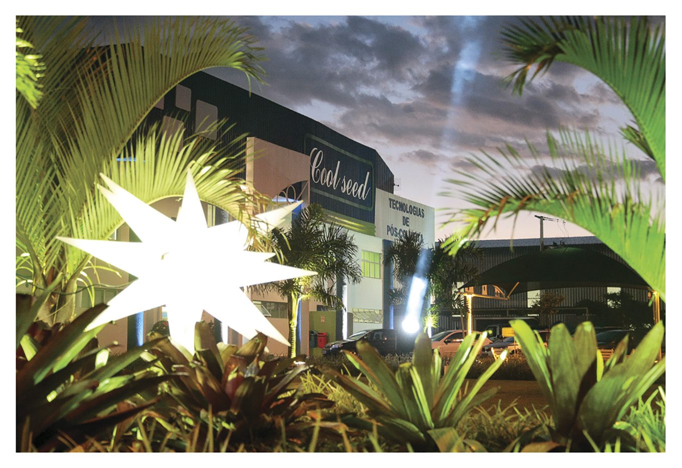 Cool Seed comemora 10 anos de sucesso