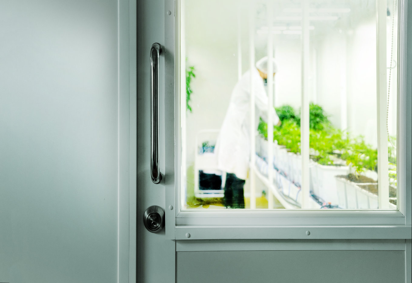 Stewardship: fundamental para o futuro do agronegócio