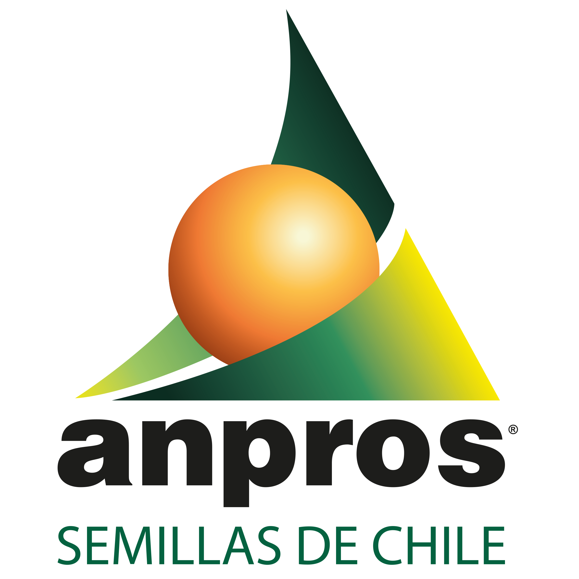 A PROPRIEDADE INTELECTUAL DE PLANTAS E O COMÉRCIO ILEGAL DE SEMENTES NO CHILE A PROPRIEDADE INTELECTUAL DE PLANTAS E O COMÉRCIO ILEGAL DE SEMENTES NO CHILE