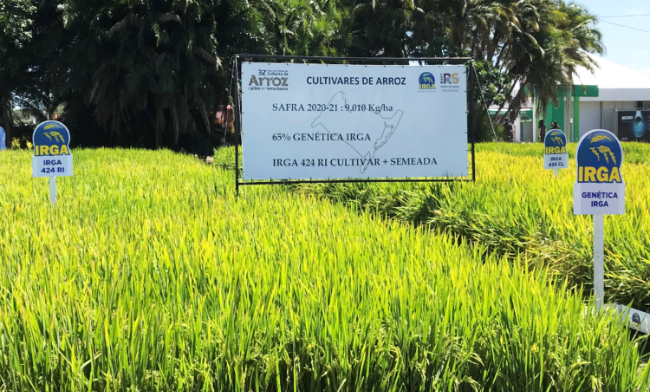 IHARA leva novidades para agricultor na 31ª Abertura Oficial da Colheita do  Arroz e Grãos - Portal do Agronegócio