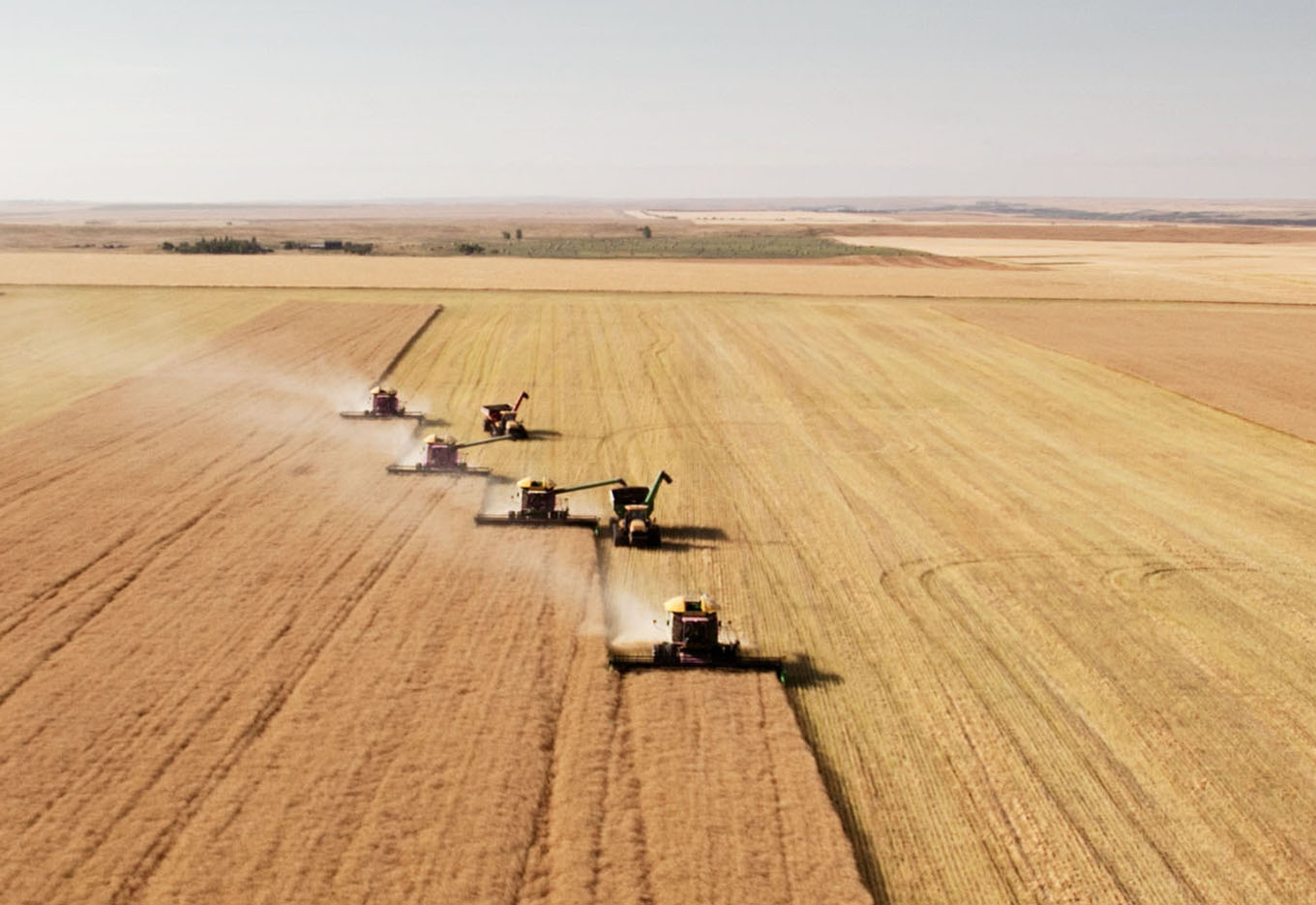 O impacto dos acordos comerciais no equilíbrio do agronegócio
