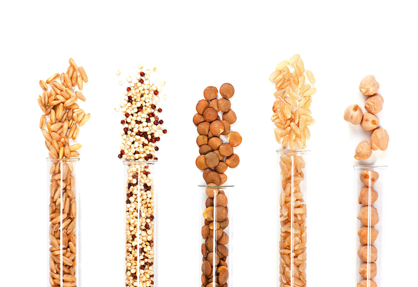 IAC Contribui para o Campo Gerar Renda e Orgulho para o Brasil