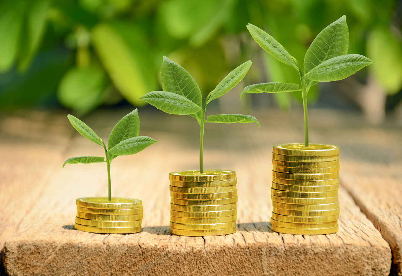 Agronegócio Sustentável