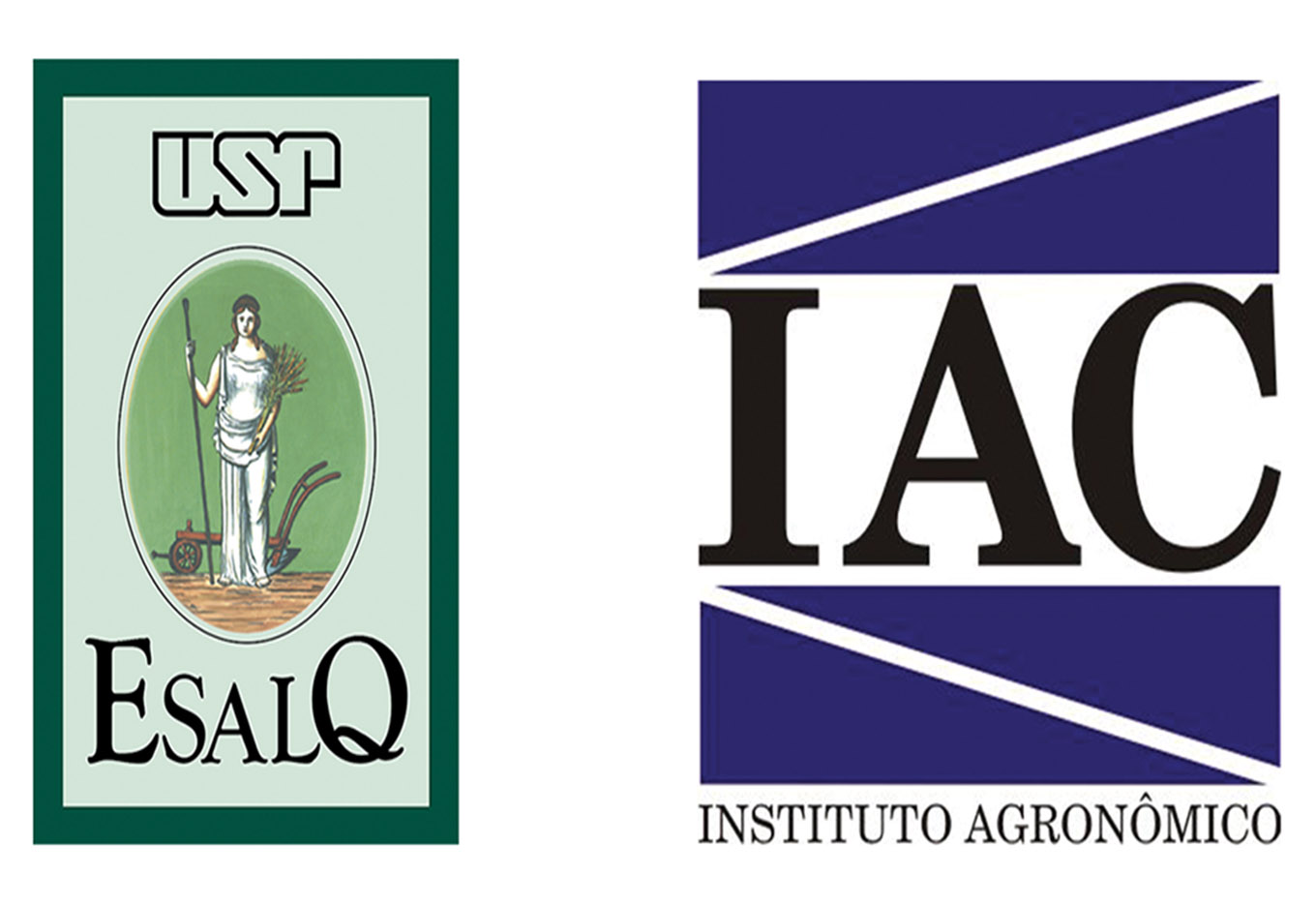 Workshop Tratamento Industrial  de Sementes: Manejo e Avaliação