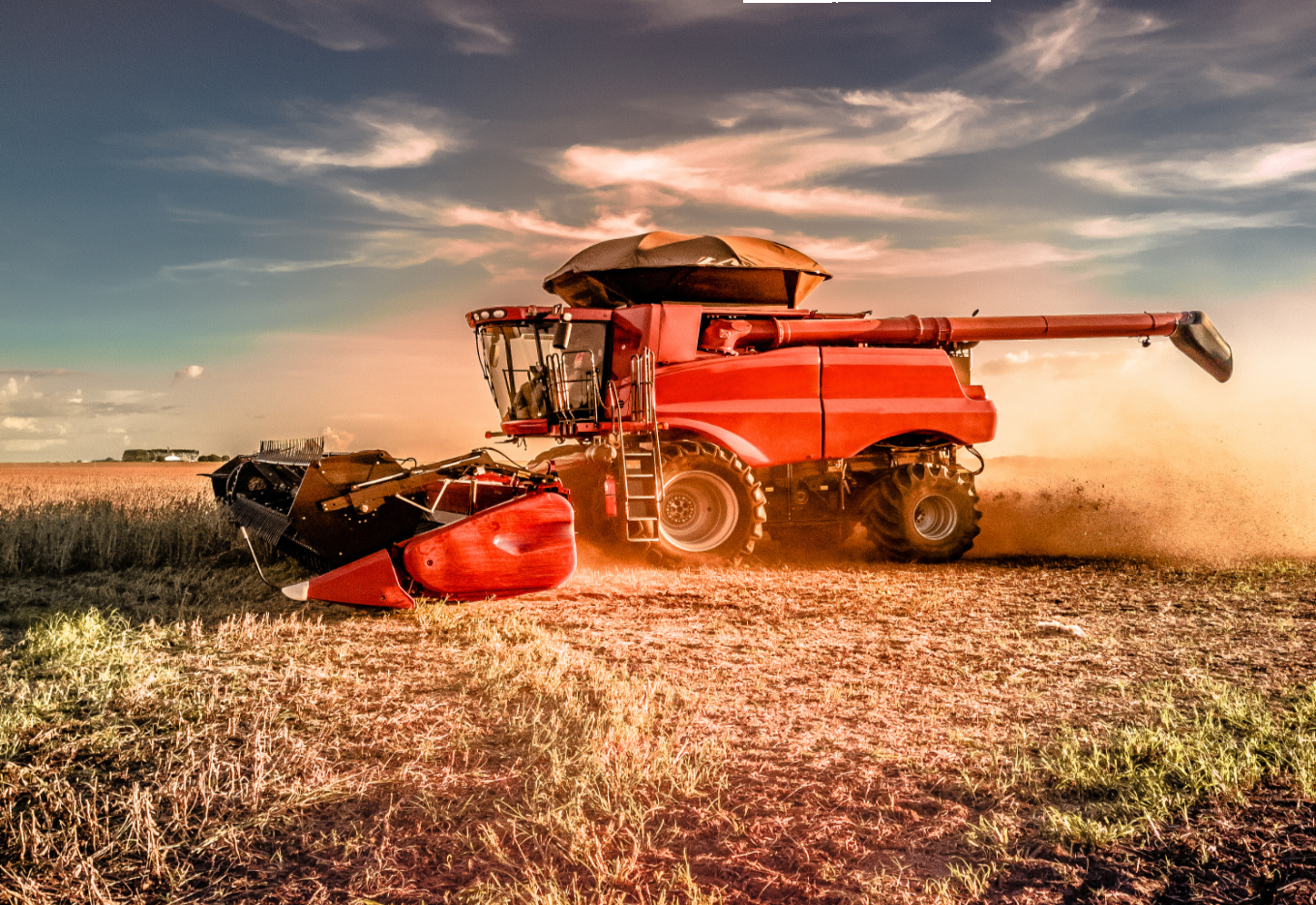 Mato Grosso se destaca cada vez mais  na produção de sementes de soja