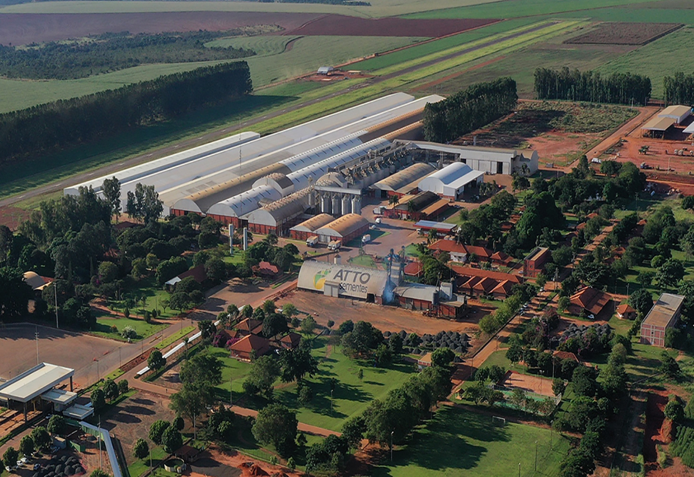 Entrevista ATTO Sementes: