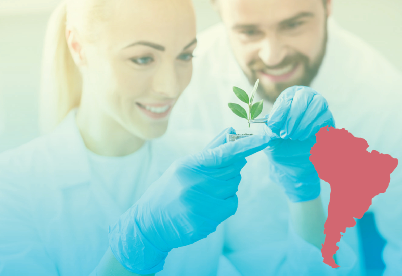 América do Sul  estabelece um ambiente fértil para a edição de genes