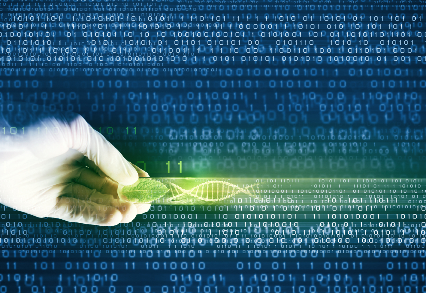 A caixa de ferramentas utilizada pelo melhoramento vegetal hoje