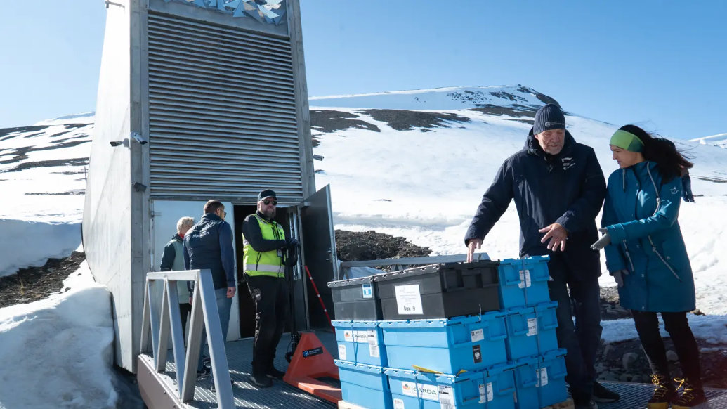 Diversas espécies vegetais de 14 bancos de germoplasma chegam à Svalbard