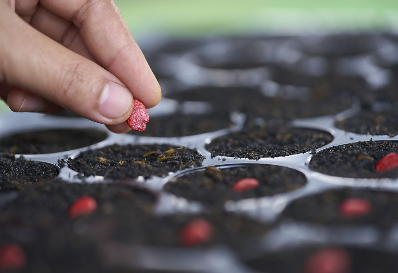 Syngenta Seeds acelera seu projeto de franquias para a comercialização de sementes das marcas Nidera e NK