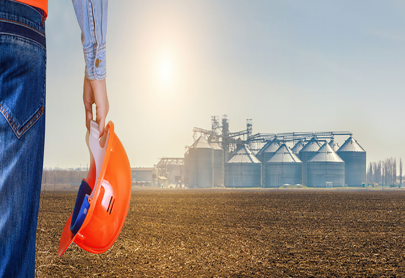 Princípios de Secagem