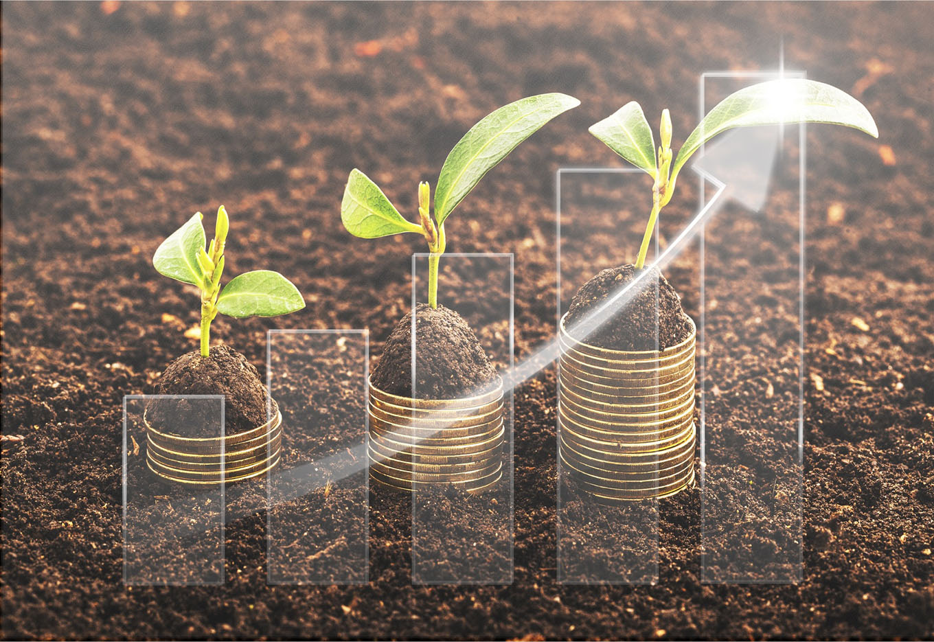 Biotecnologia no Agribusiness