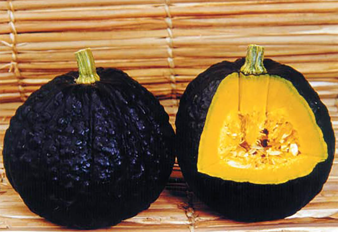 Abóbora Tetsukabuto