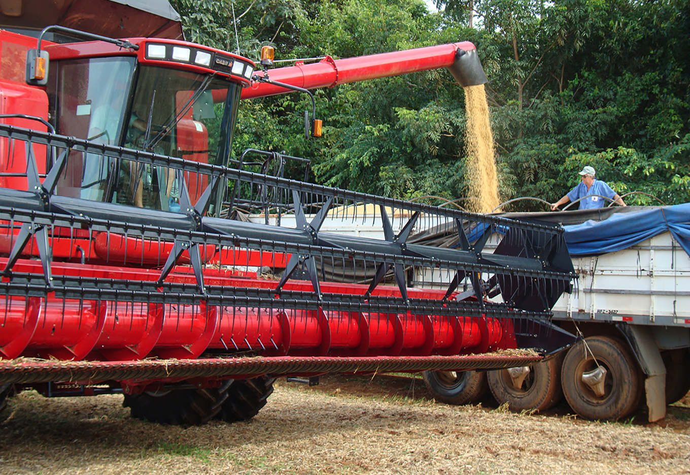 O Negócio Sementes de Soja no Brasil