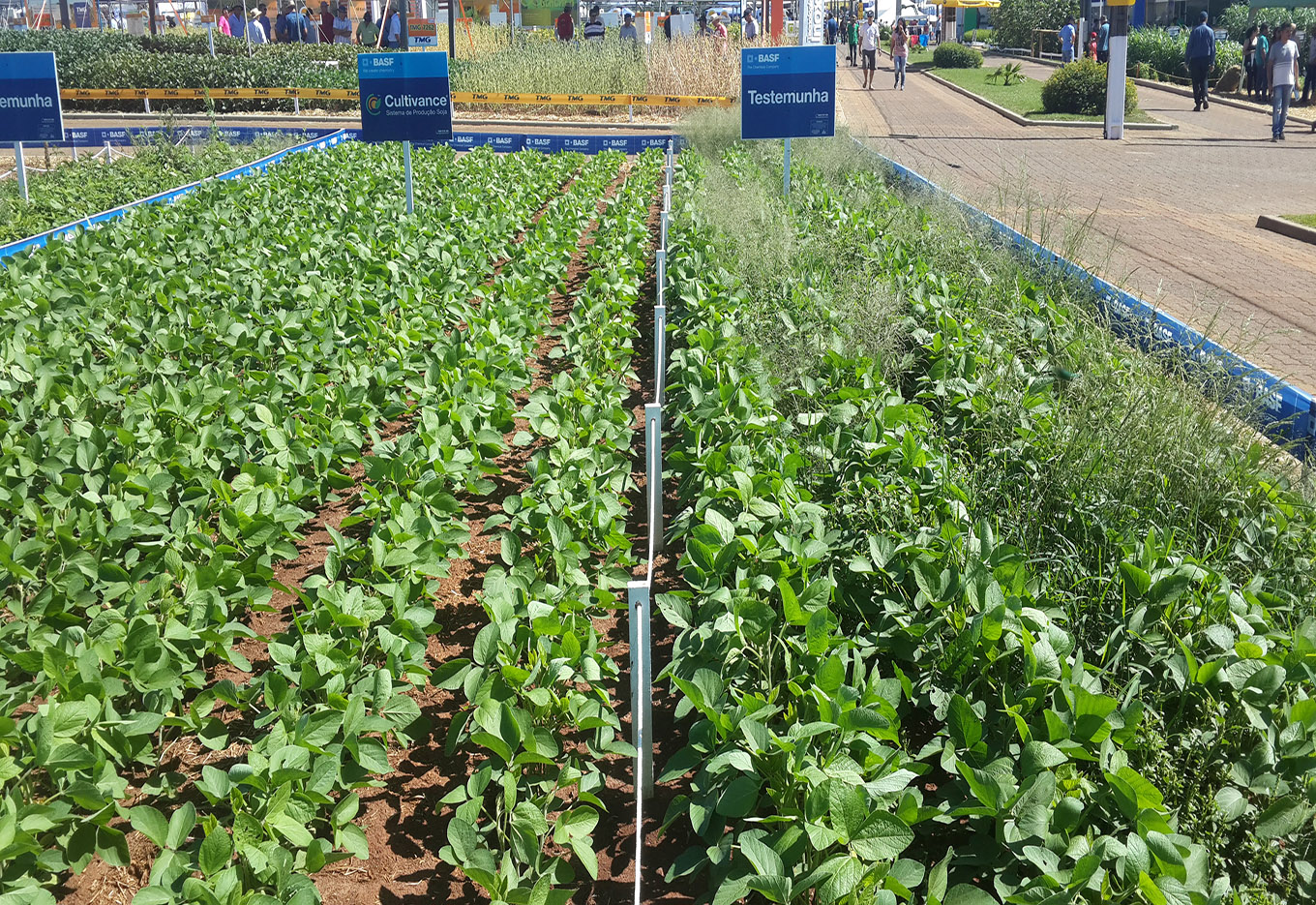 BASF promove encontro  com a imprensa