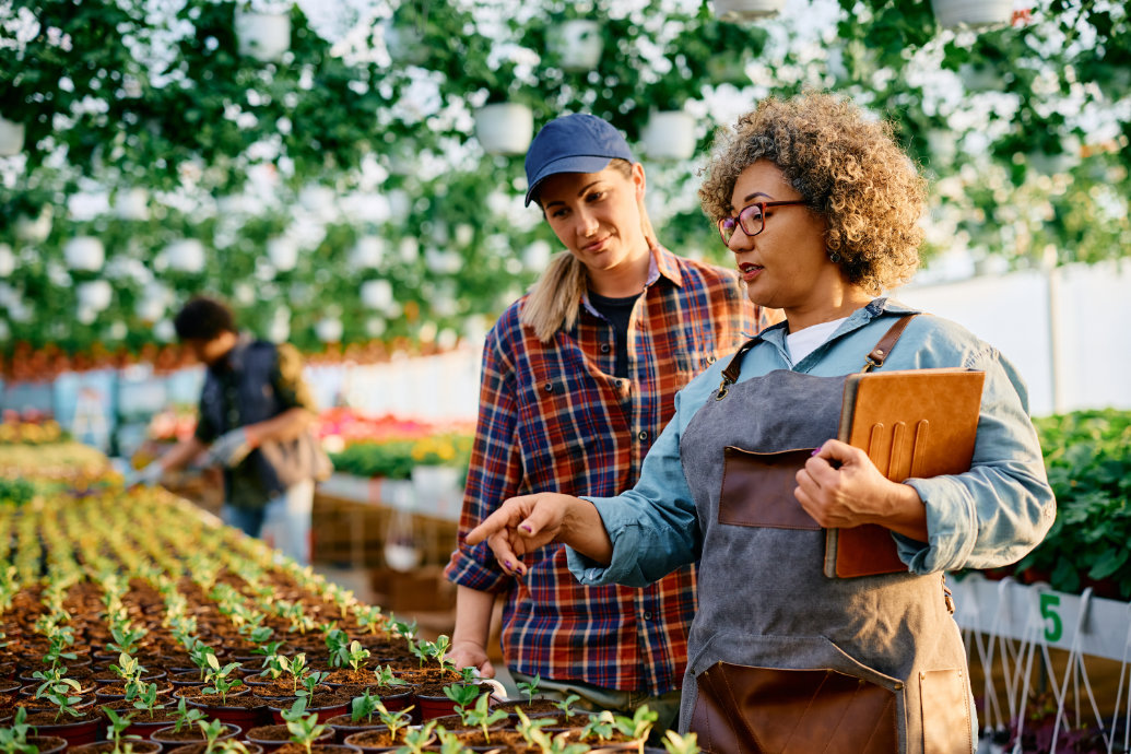 O ambiente de trabalho e a remuneração dentro do agronegócio brasileiro continua evoluindo a cada nova safra O ambiente de trabalho e a remuneração dentro do agronegócio brasileiro continua evoluindo a cada nova safra