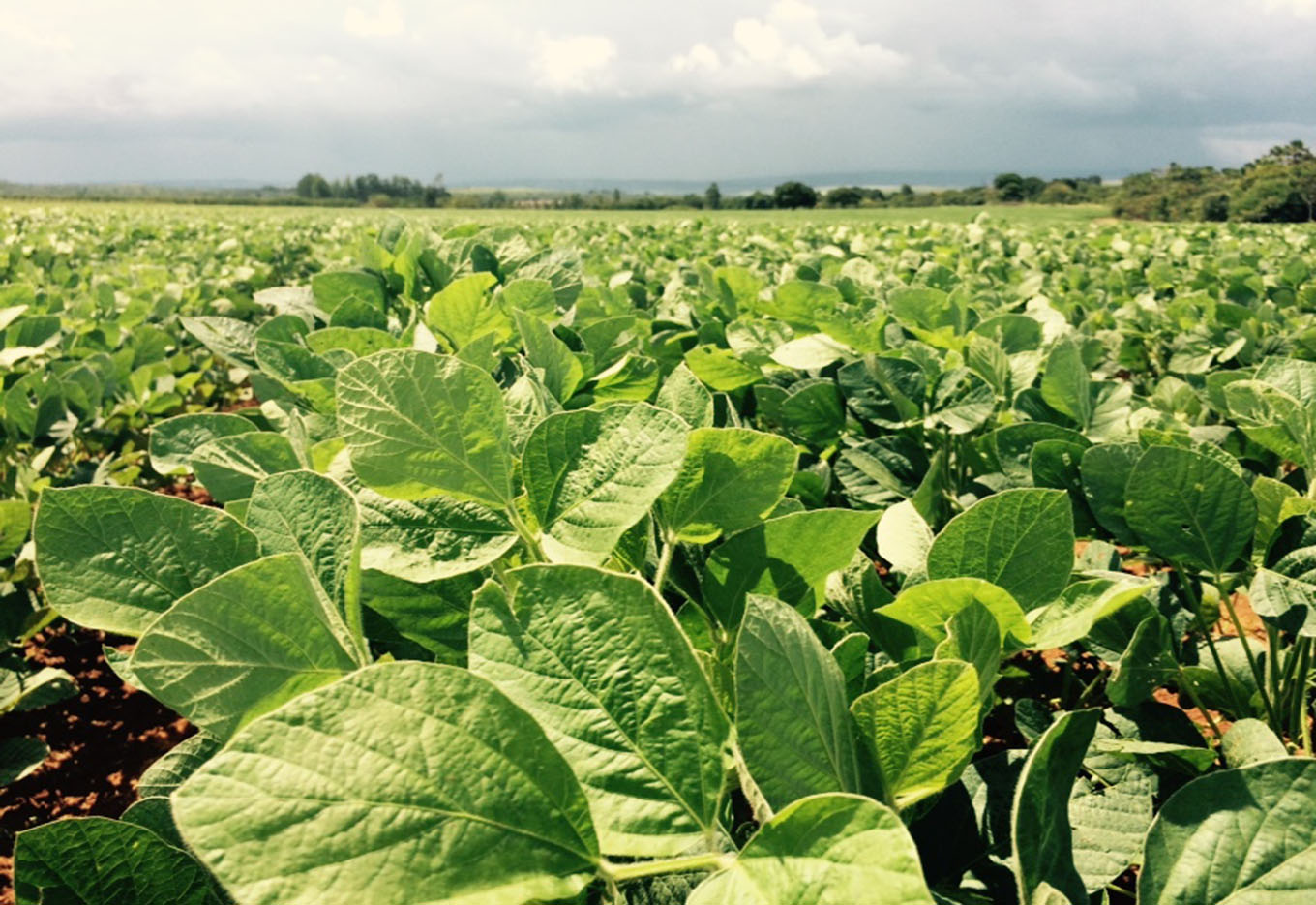 CSM-PR 2025 – Fórum Técnico