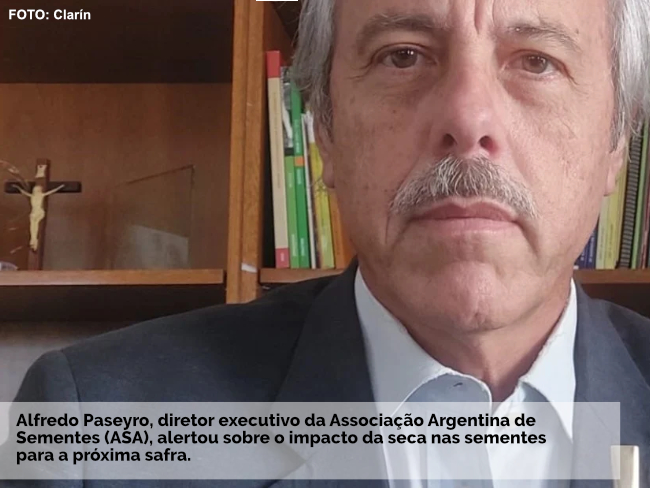 Empresas sementeiras da Argentina enfrentam sérios problemas de quantidade e qualidade para a próxima safra