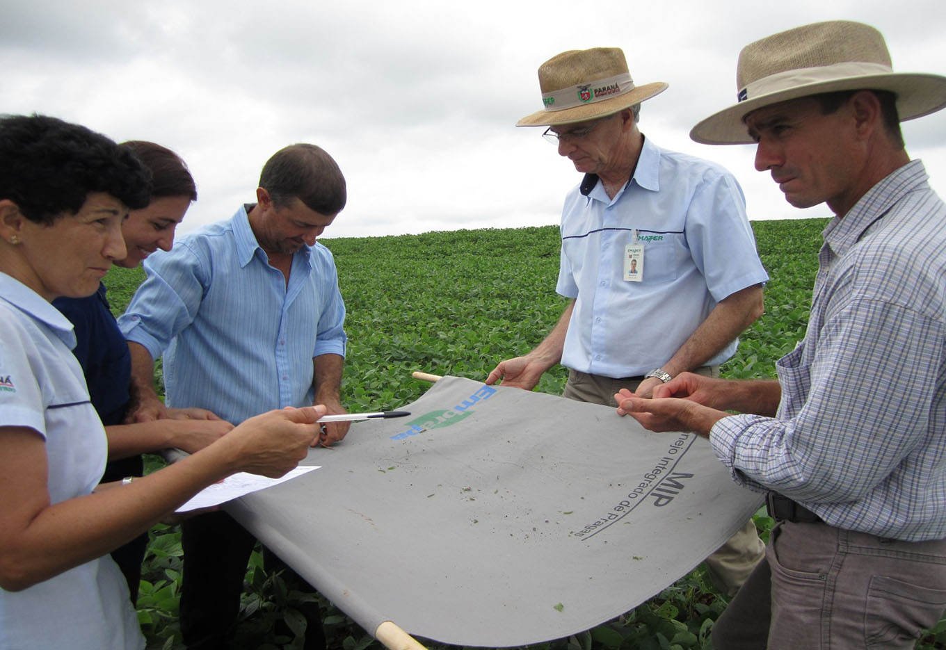Formigas Cortadeiras um Desafio?