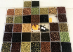 Cultivar Olimpo atinge 15% da área cultivada de soja no Brasil