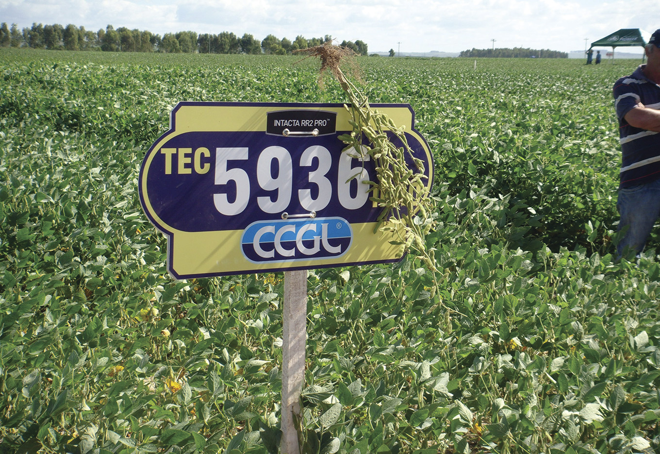 Royalty e Taxa Tecnológica