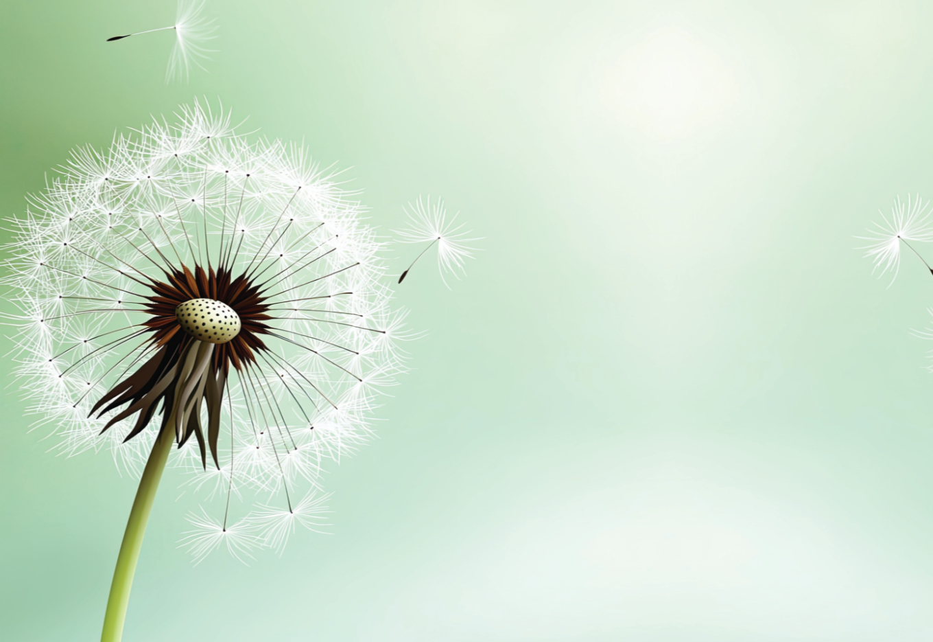 As sementes precisam se manter em movimento