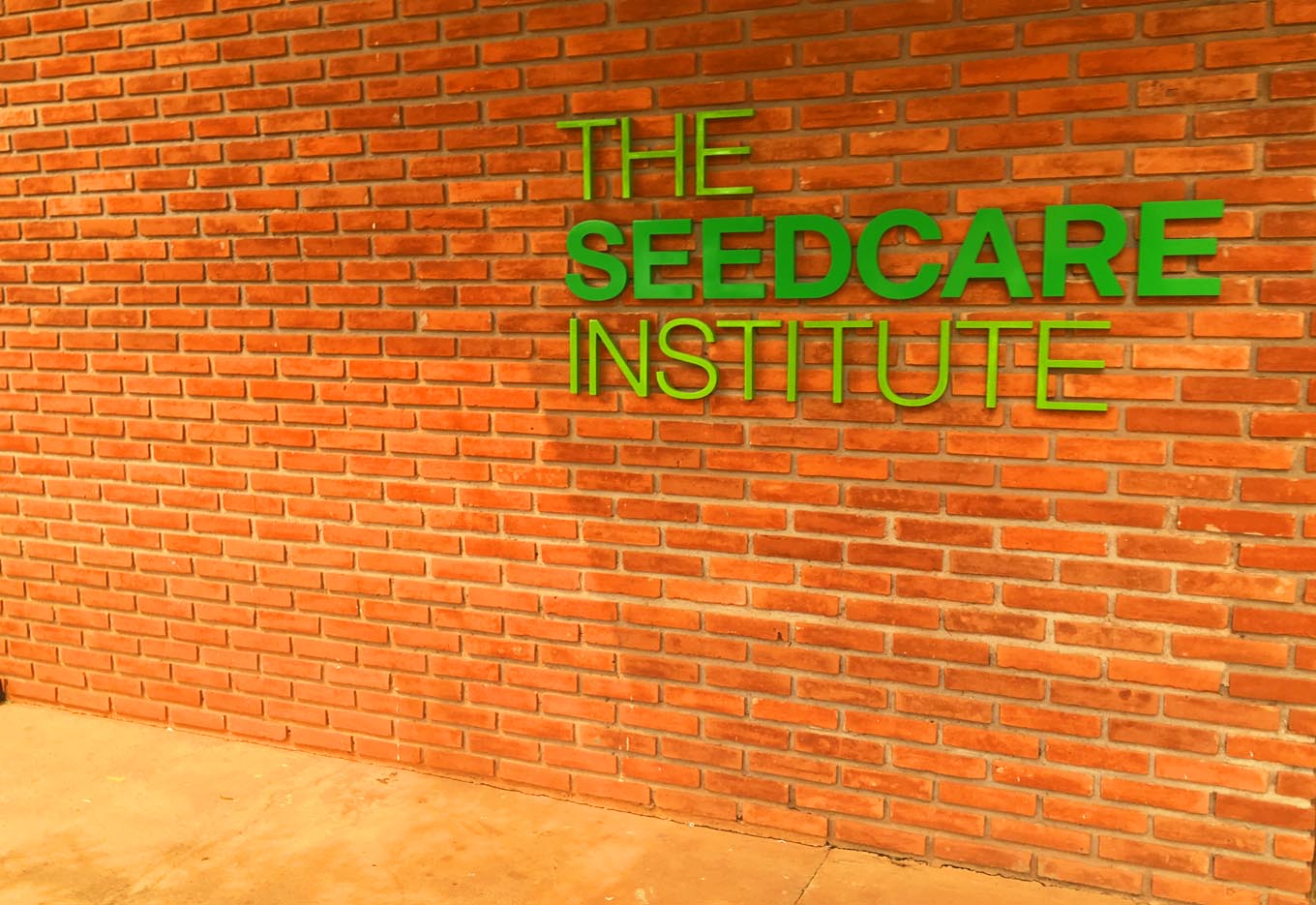 SEEDCARE completa 10 anos no Brasil