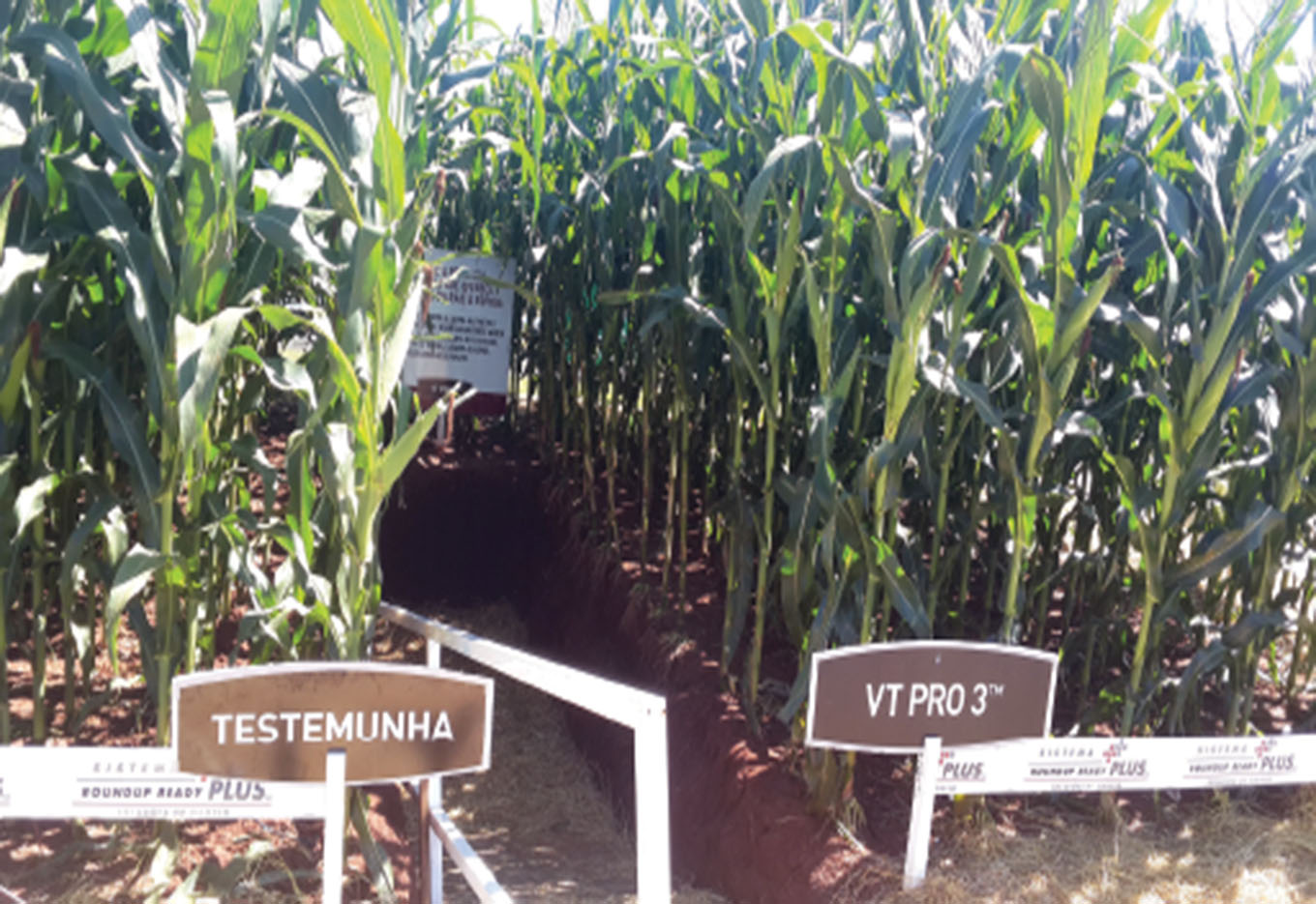 Na era da agricultura digital, direitos autorais e adoção de tecnologia