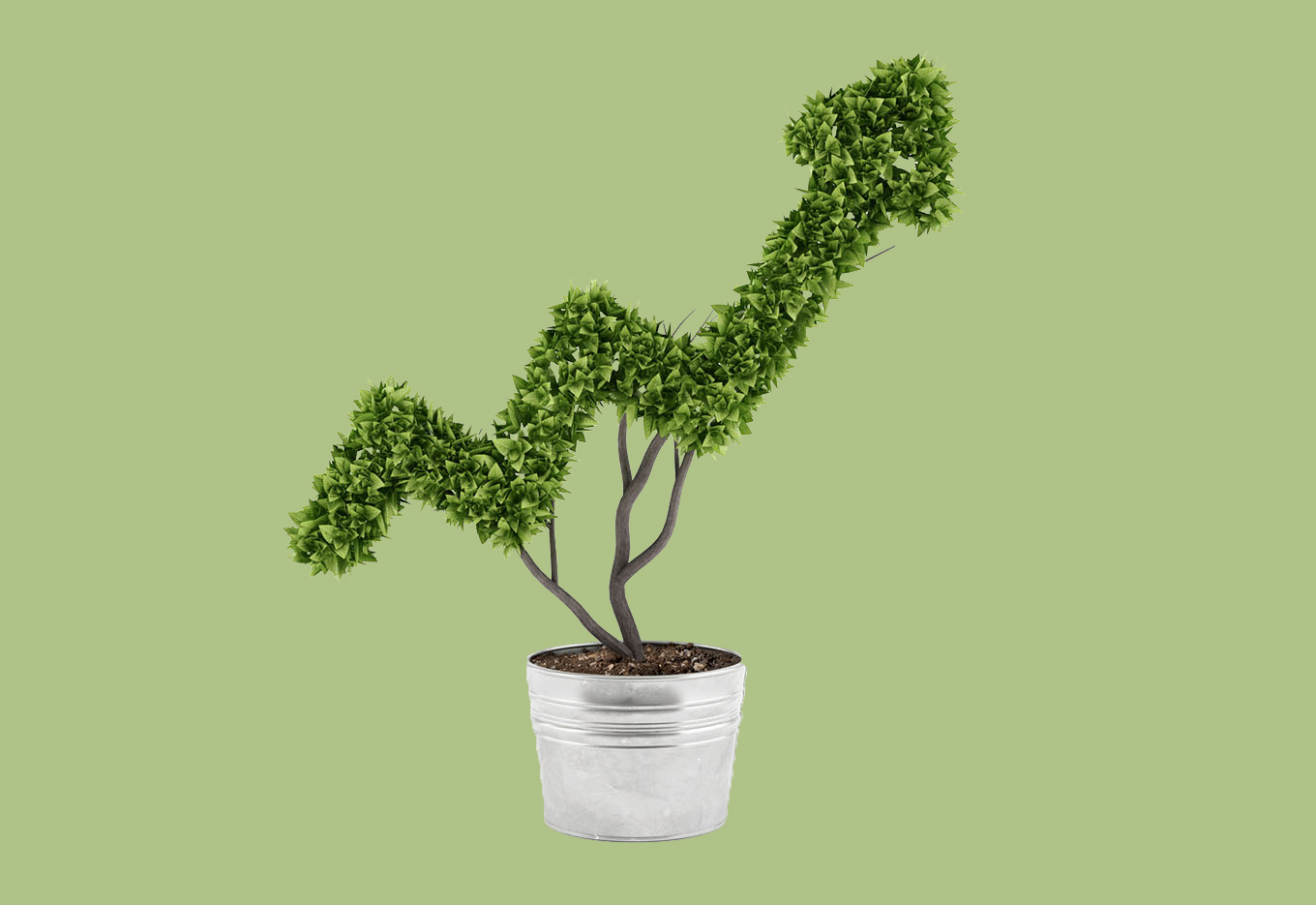 Produtor pede a Valorização da Semente