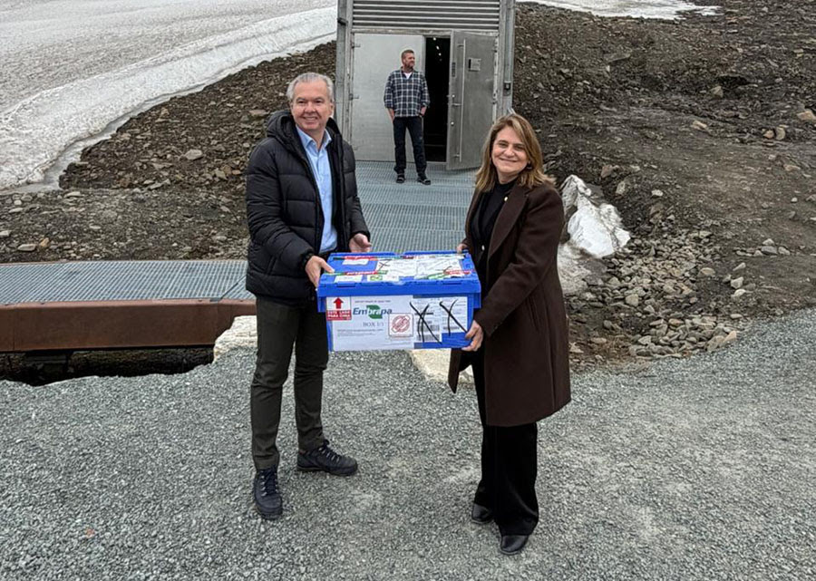 Presidente da Embrapa entrega nova remessa de sementes do Brasil ao Banco de Svalbard Presidente da Embrapa entrega nova remessa de sementes do Brasil ao Banco de Svalbard