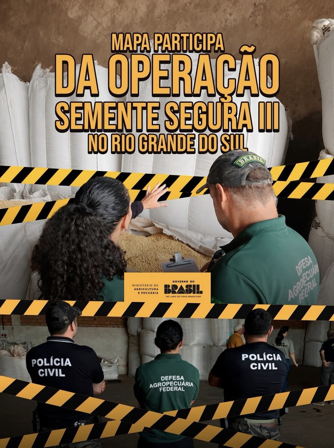 Mercado ilegal de sementes ameaça produtividade e acende alerta no agro brasileiro