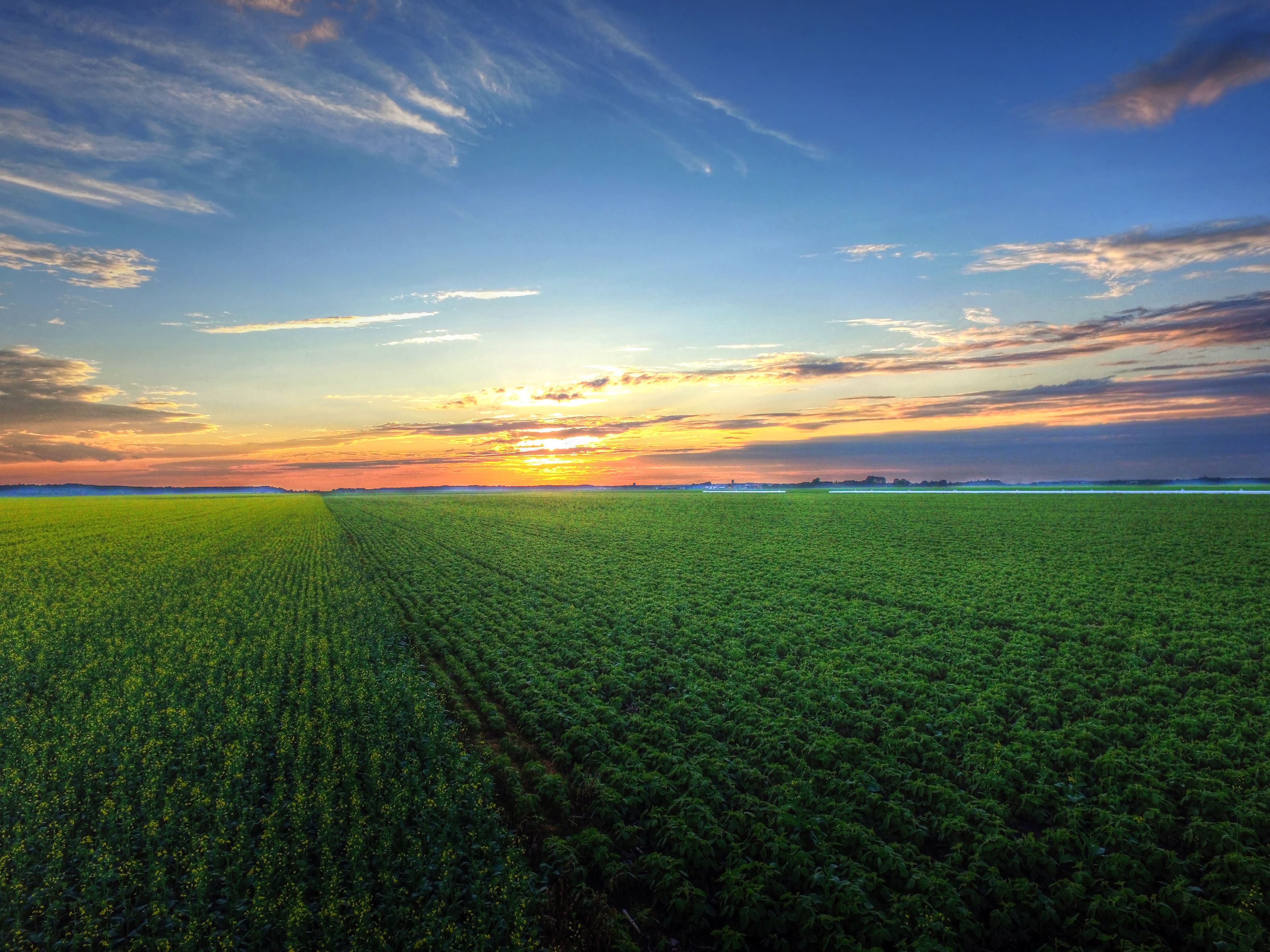 SLC Agrícola desembolsa R$ 470 milhões por propriedade na Bahia SLC Agrícola desembolsa R$ 470 milhões por propriedade na Bahia
