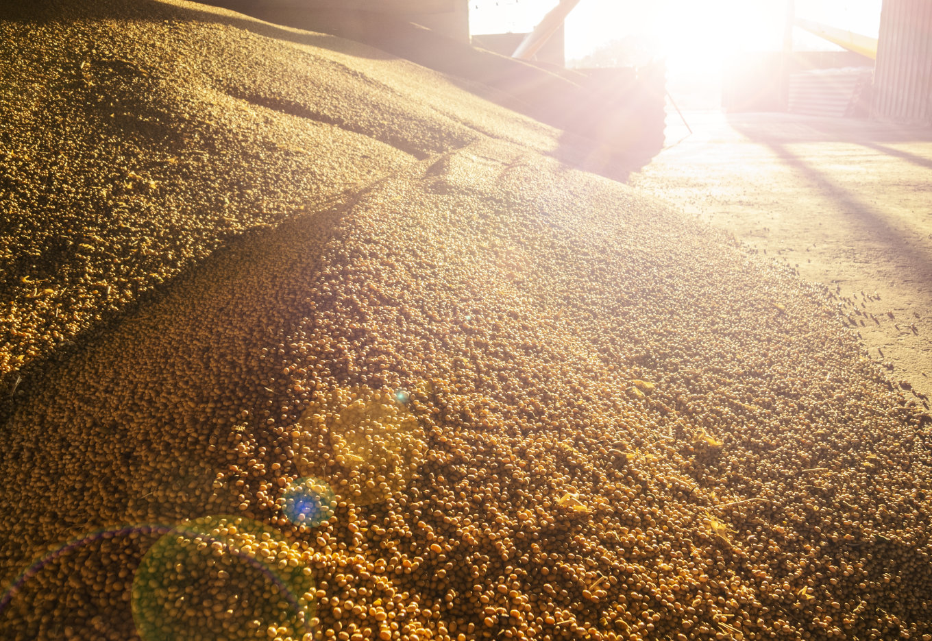 A próxima safra de grãos já inicia com um crônico problema de logística e armazenamento no Brasil