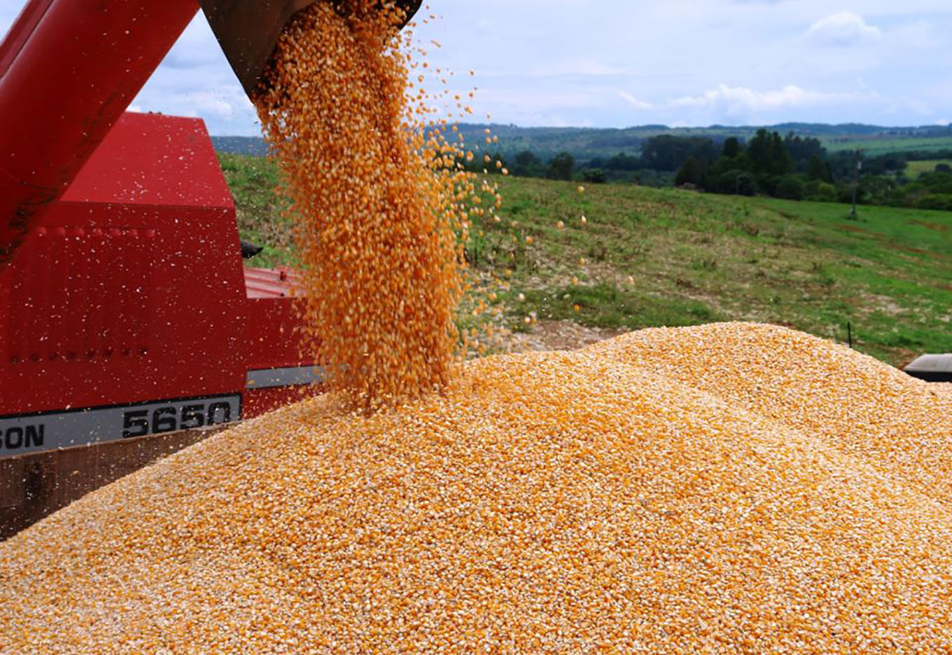 Aspectos da produção e comercialização de milho no Brasil