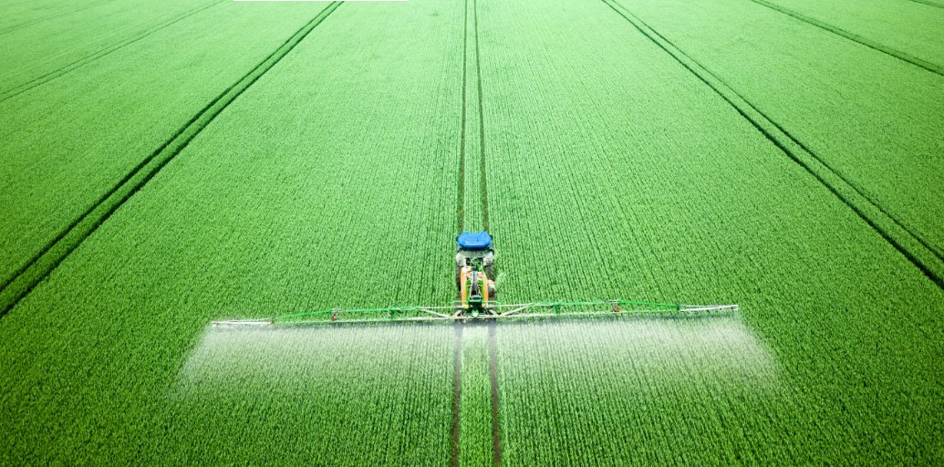Com redução de área, mercado de defensivos para arroz irrigado apresenta ligeira queda Com redução de área, mercado de defensivos para arroz irrigado apresenta ligeira queda