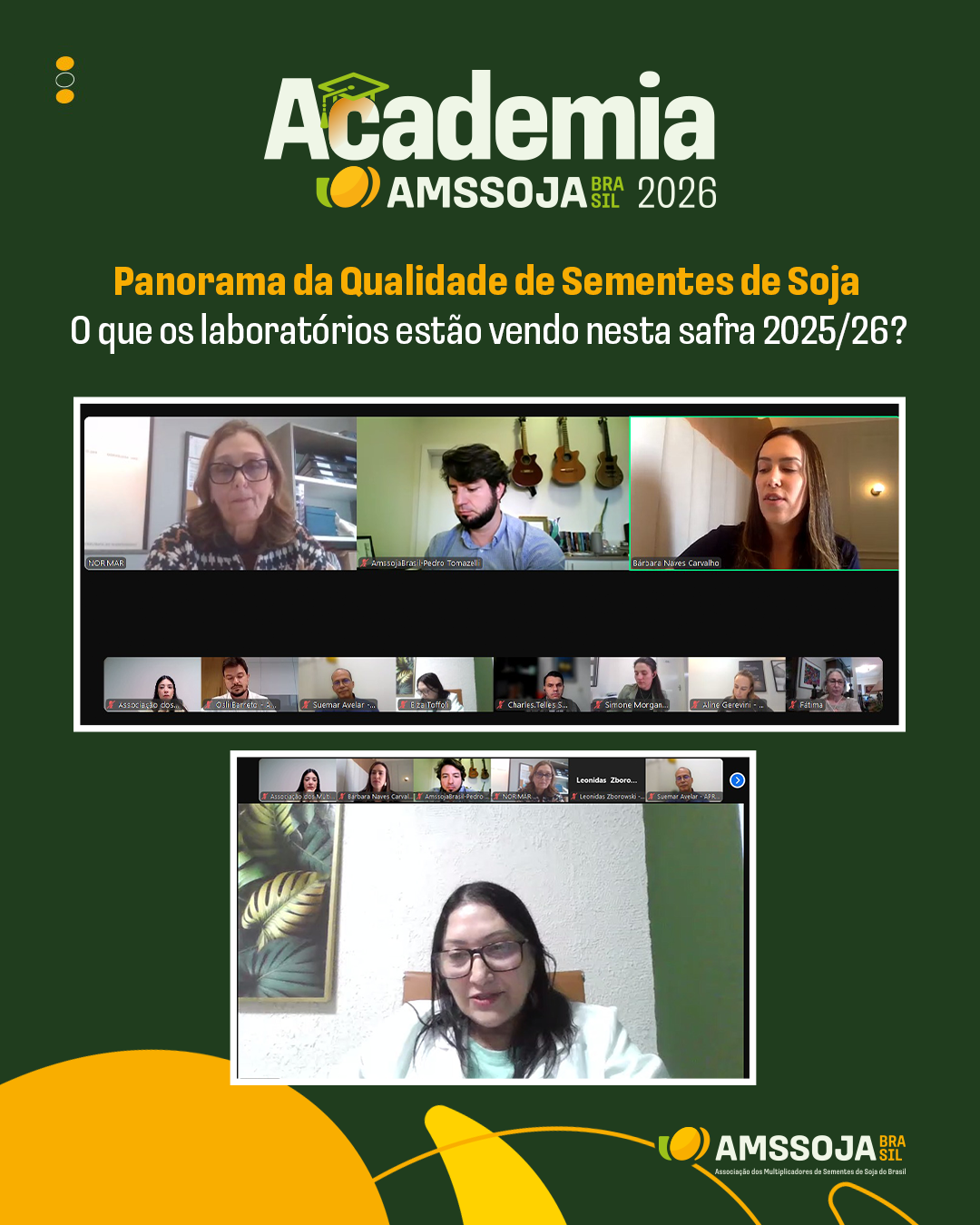 Especialistas compartilham percepções sobre a qualidade das sementes de soja da última safra