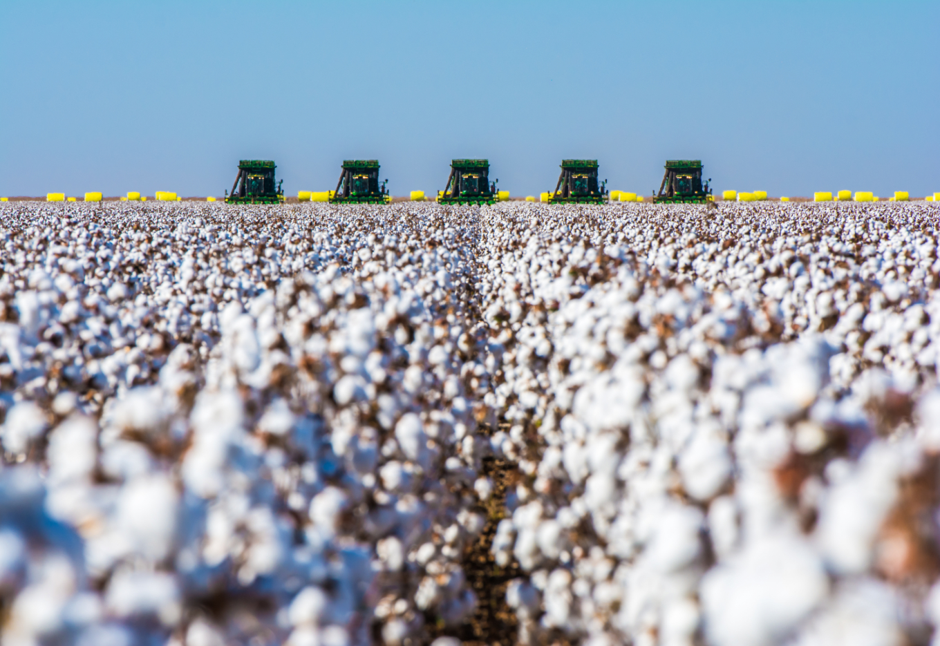 Tudo ainda está por fazer