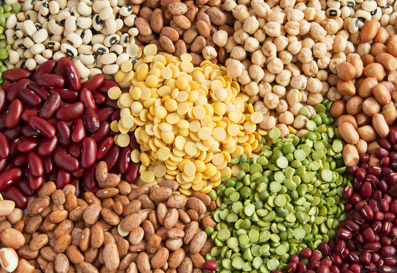 Conferência sobre a Segurança Alimentar Mundial