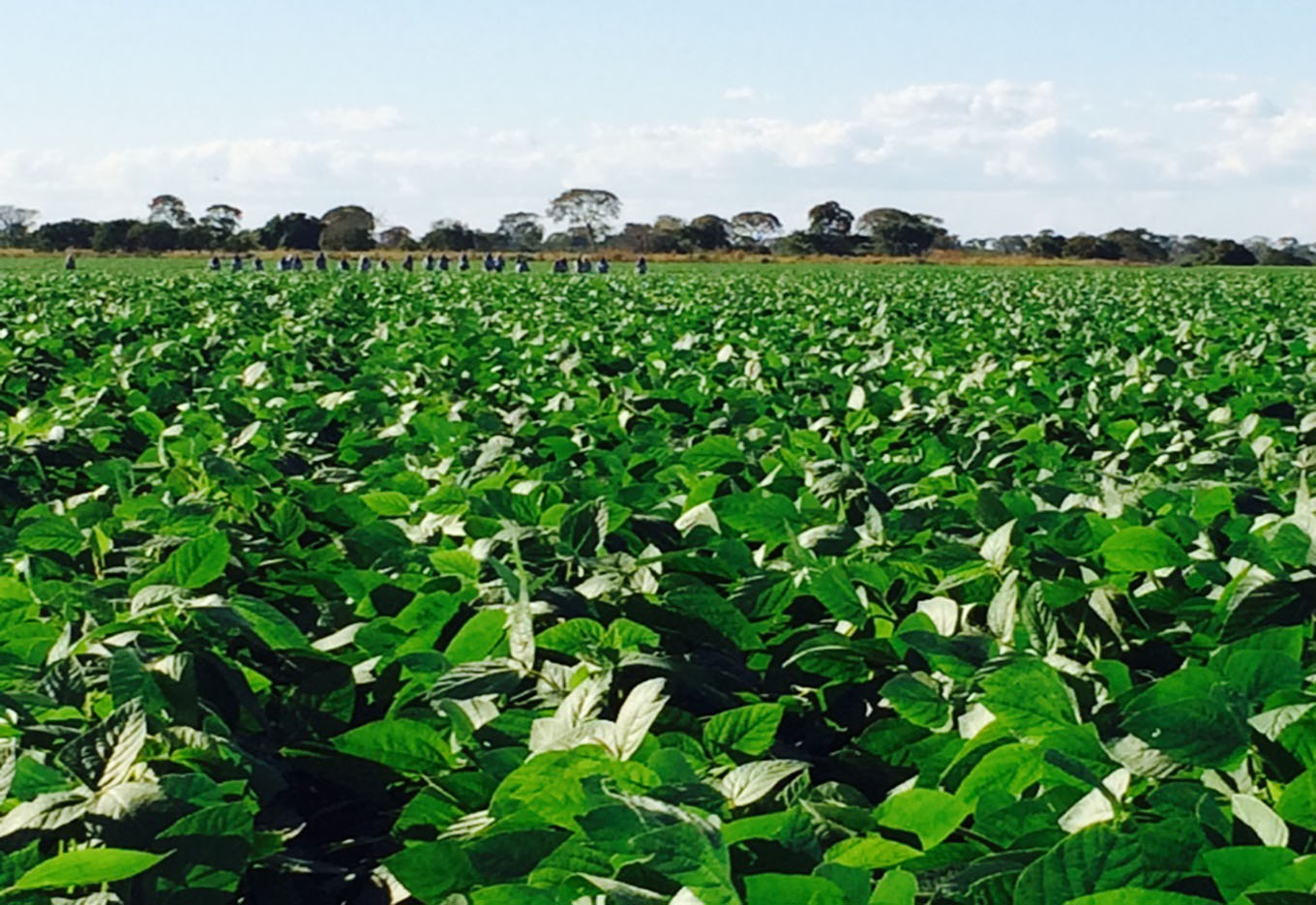 Sessão de Pôsteres teve Diferentes Abordagens