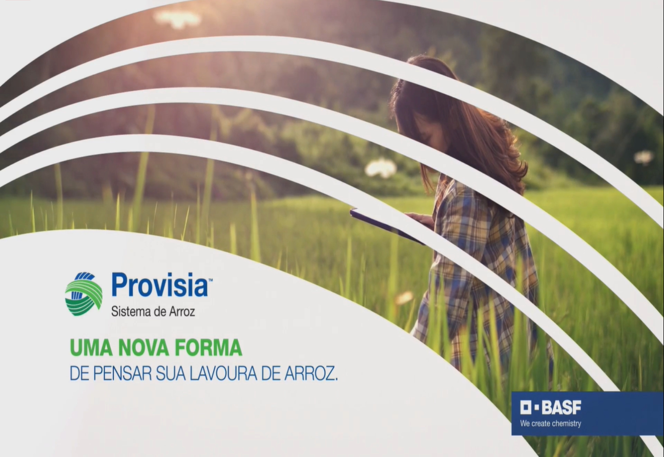 BASF lança sistema Provisia no Brasil