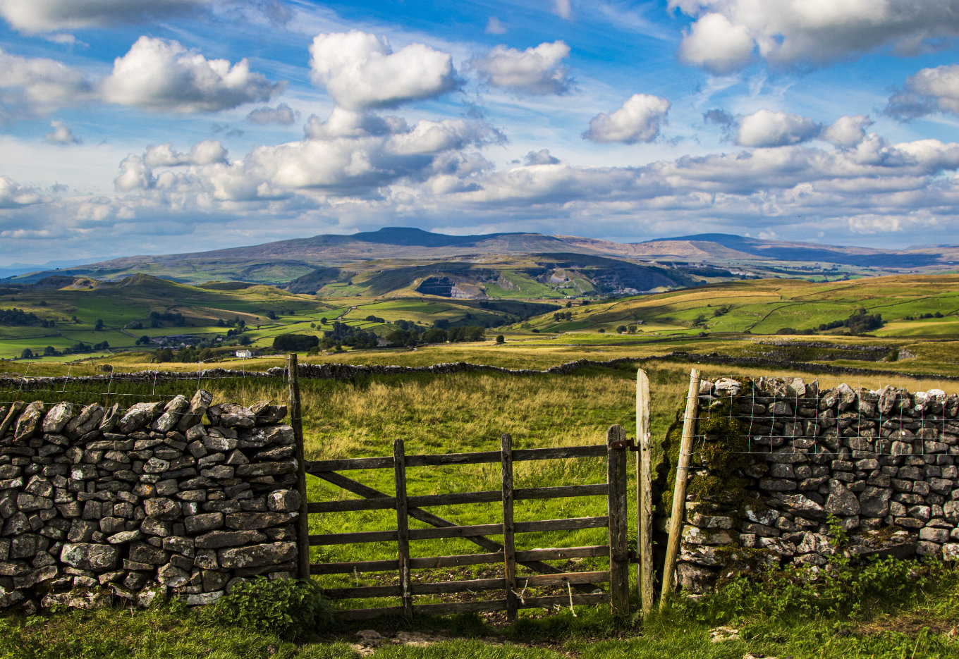 Reino Unido dá um grande passo para desbloquear o poder da edição de genes