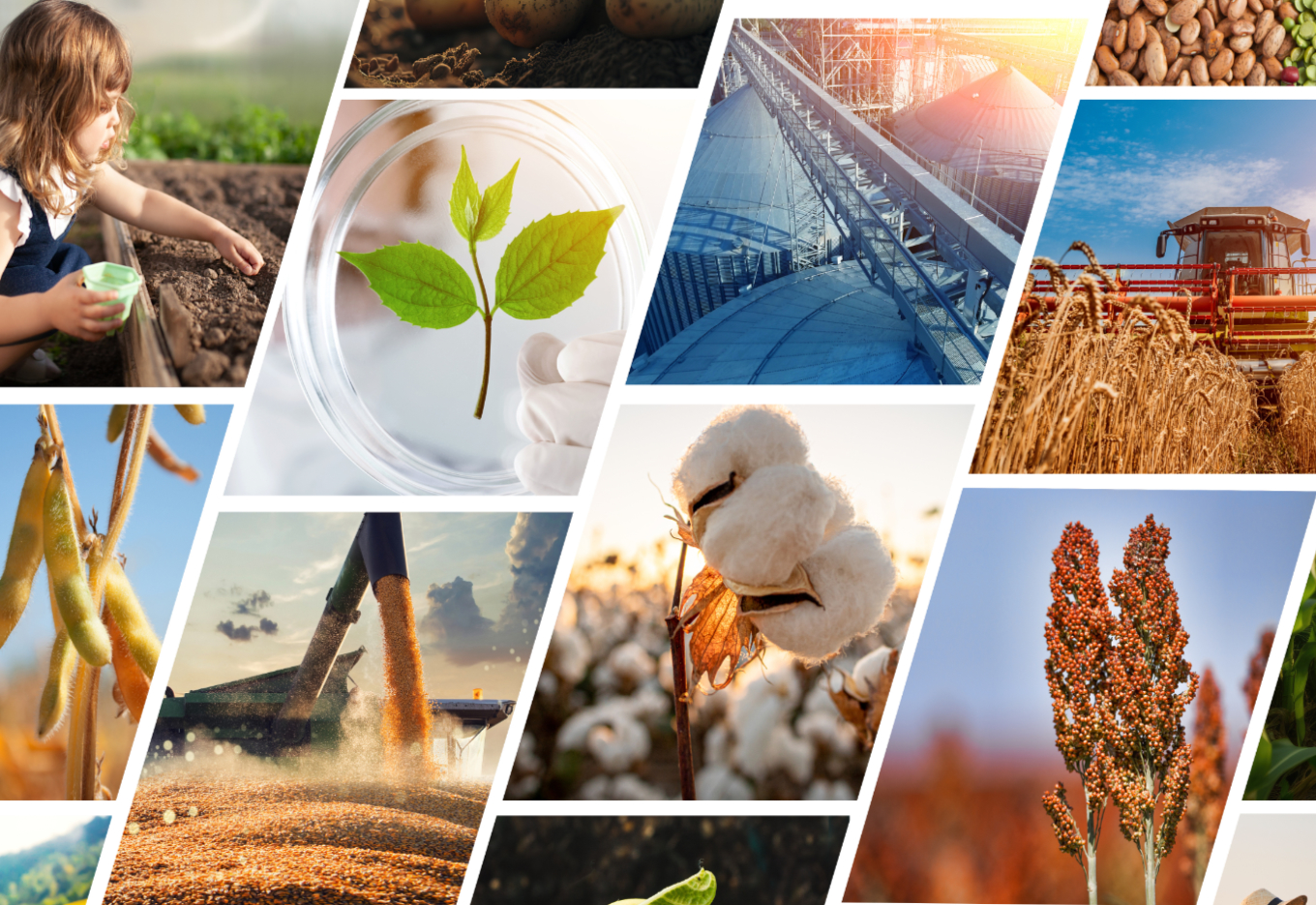 Os próximos 25 anos serão os mais importantes na história da agricultura