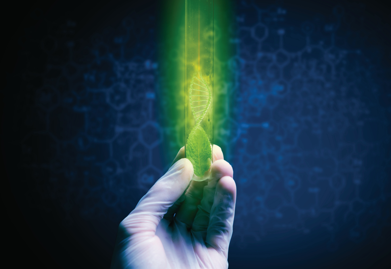 Extração de DNA na palma da mão