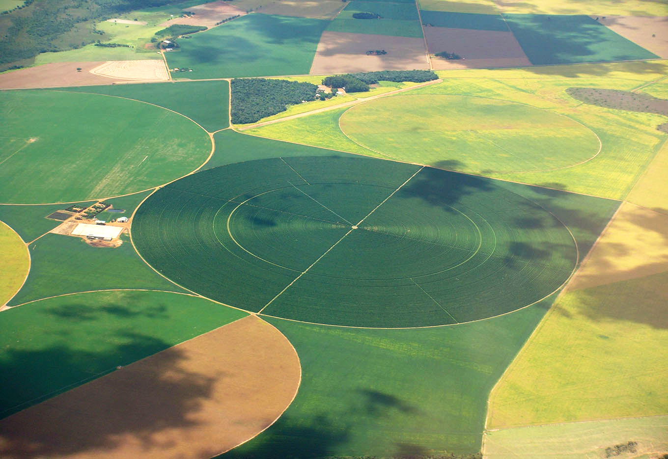 América Latina: potencial produtivo e de pesquisa para o futuro