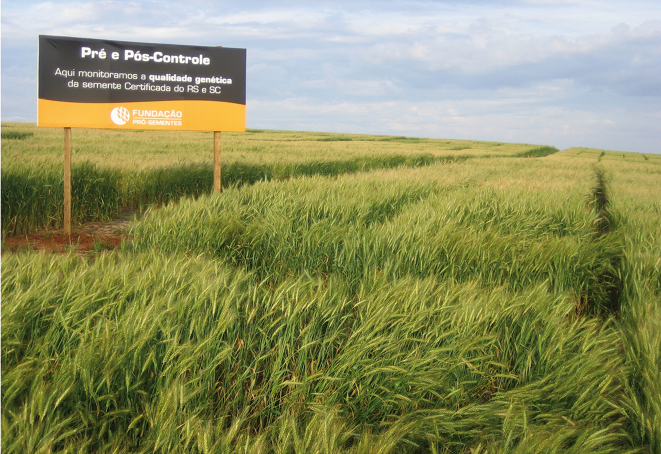 Fundação Pró-Sementes promove Reunião Técnica