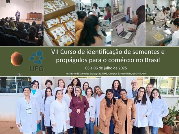 O VII Curso de Identificação de Sementes e Propágulos para o Comércio no Brasil reúne participantes de seis estados brasileiros