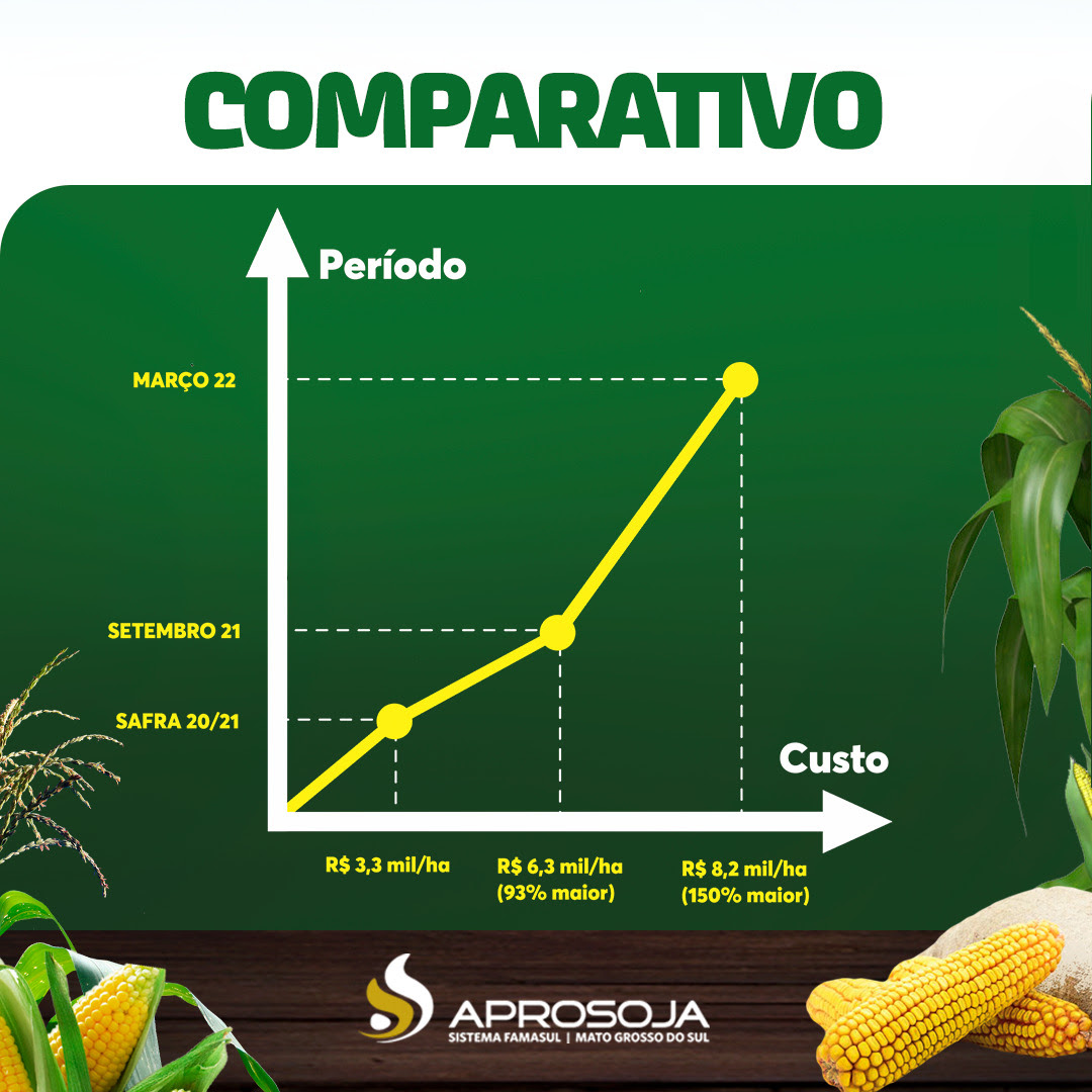 Custo de produção do milho cresce no MS Custo de produção do milho cresce no MS